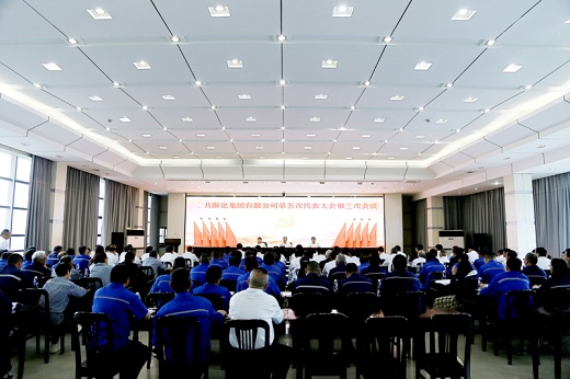 集團(tuán)公司召開黨代會補(bǔ)選兩名第五屆黨委委員