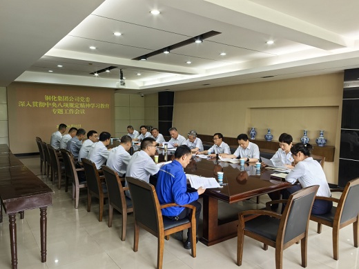 集團公司黨委召開專題工作會議對整治違規(guī)吃喝問題進行再強調(diào)再部署