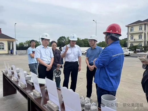 九三學社黃山市委員會走進六國化工綠陽建材開展專題調(diào)研