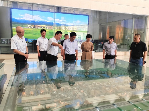 桐城市尋求與六國化工開展產(chǎn)業(yè)合作