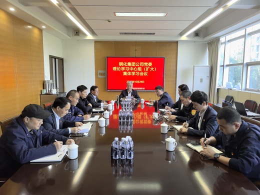 集團(tuán)公司黨委傳達(dá)學(xué)習(xí)黨的二十屆四中全會(huì)精神